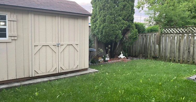 Basement-1633 Marshcourt Drive, Pickering, ON, L1V 6G8 - 5