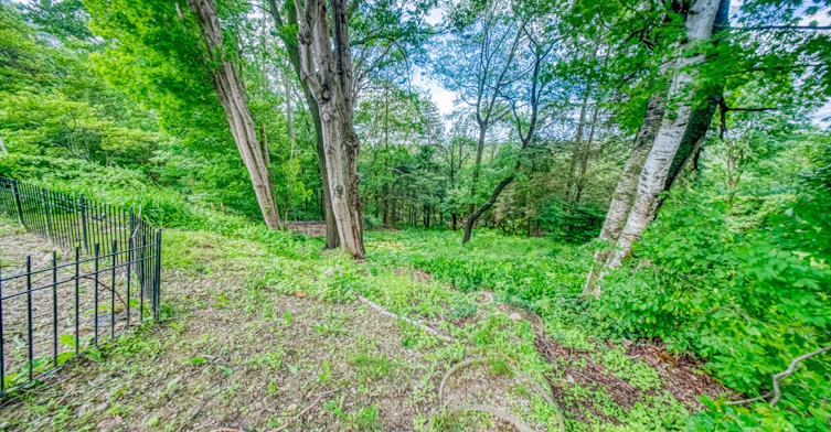 bsmt-140 Ridgewood Road, Toronto, ON, M1C 2X2 - 12