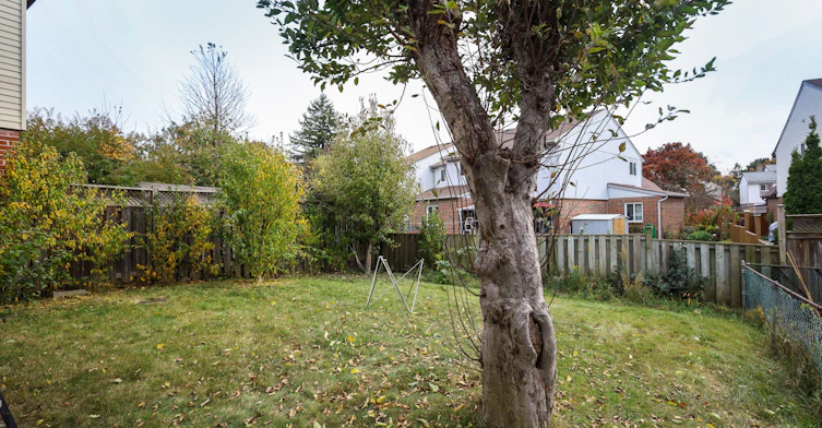 Main-113 Purvis Crescent, Toronto, ON, M1B 1H8 - 33