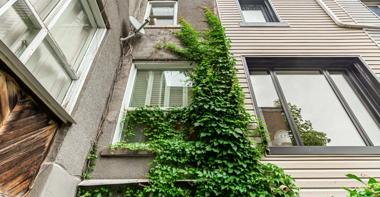 242 Waverley Road, Toronto, ON, M4L 3T3 - 31