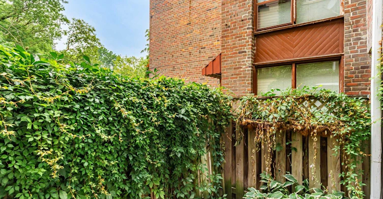 242 Waverley Road, Toronto, ON, M4L 3T3 - 32