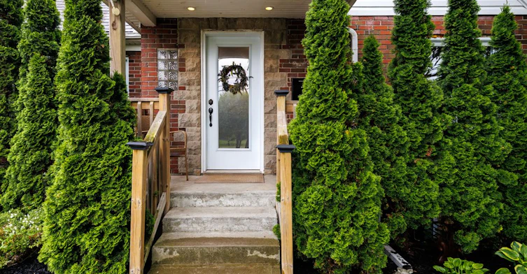 Main-1885 Kingston Road, Toronto, ON, M1N 1T3 - 3