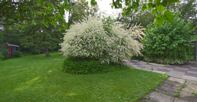 250 Meadow Road, Whitby, ON, L1N 3K2 - 32