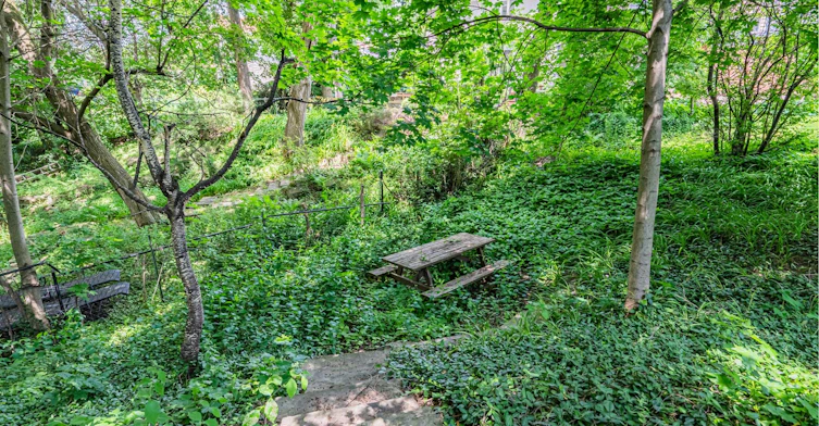 59 Parkview Hill Crescent, Toronto, ON, M4B 1R1 - 38