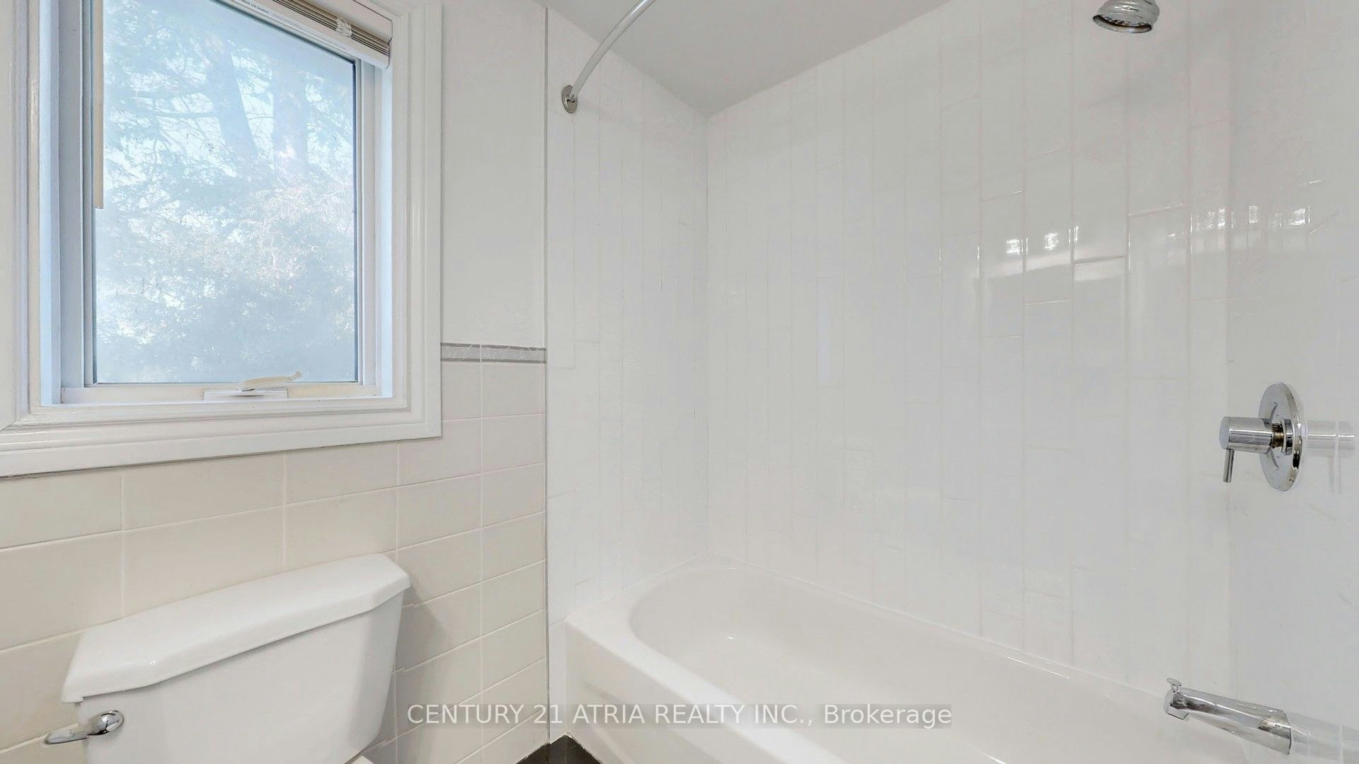 Main-126 Celeste Drive, Toronto, ON, M1E 2V1 - 20
