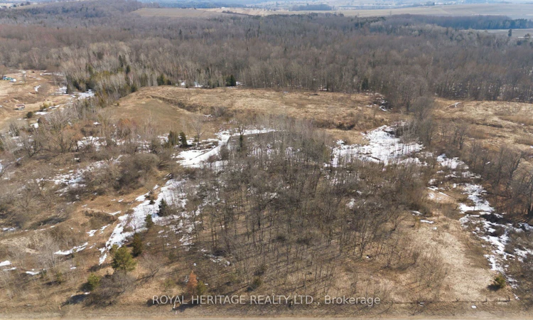 2495 Morgans Road
