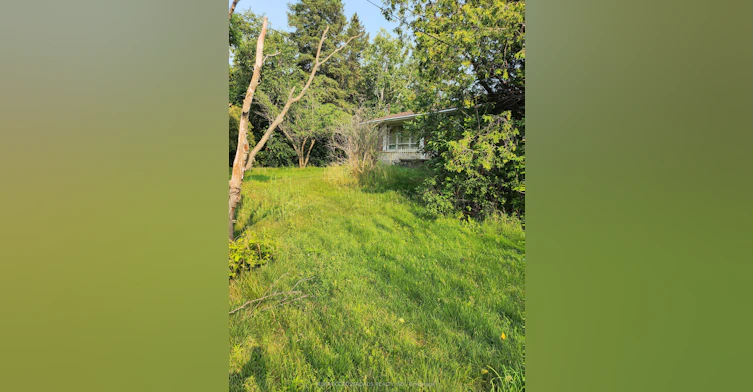 3837 Highway 2 Road, Clarington, ON, L1B 0R2 - 3