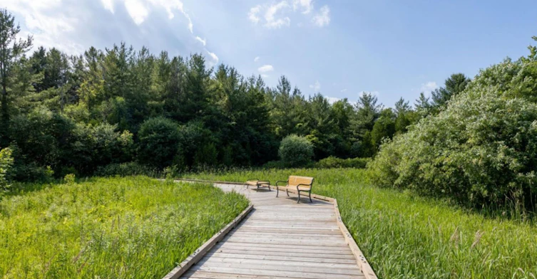 56 Emmas Way, Whitby, ON, L1R 0S7 - 32