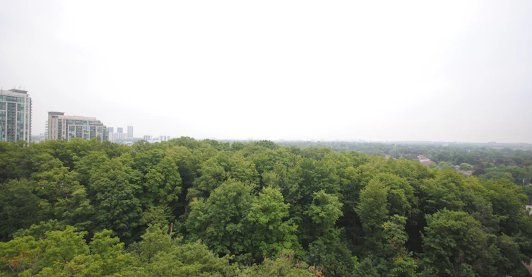 1602-190 Borough Drive, Toronto, ON, M1P 0B6 - 16