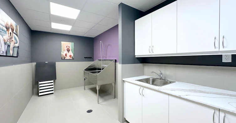 1004-2 River Plate Street, Ajax, ON, L1S 0G6 - 17
