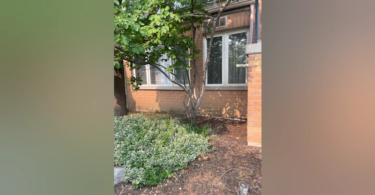 20-117 Omni Drive, Toronto, ON, M1P 5A5 - 2