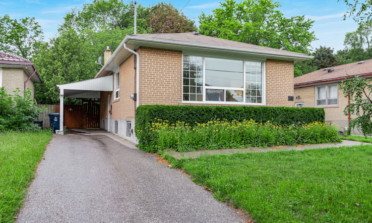 50 Celeste Drive