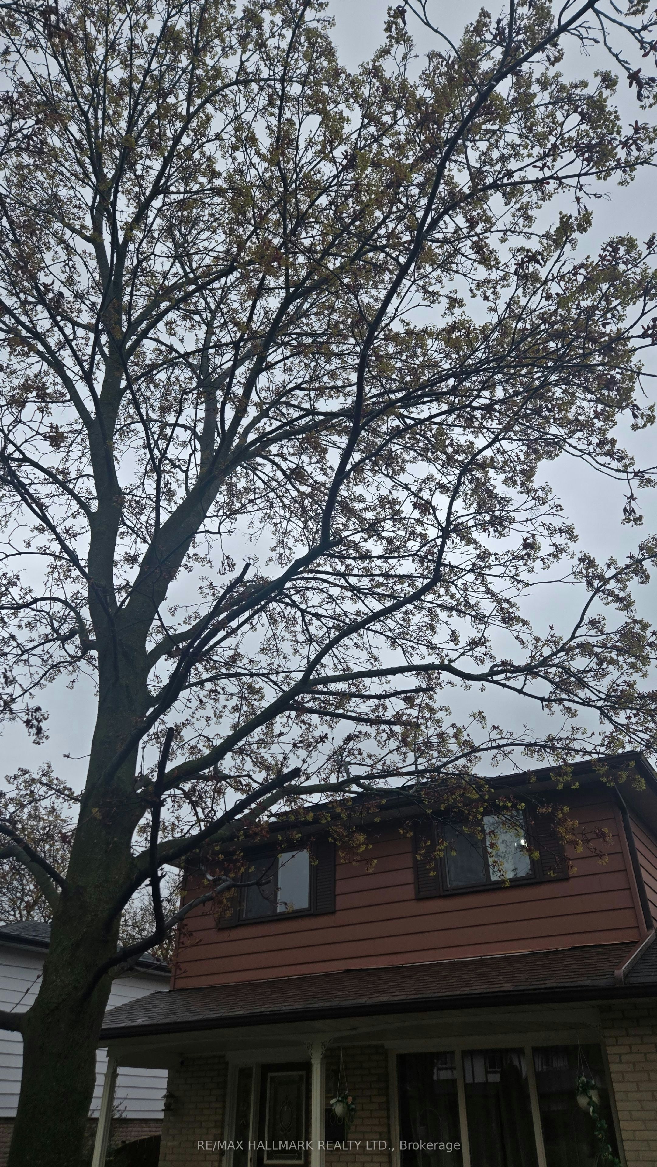 Lower Level-106 Springdale Crescent, Oshawa, ON, L1H 7C1 - 30