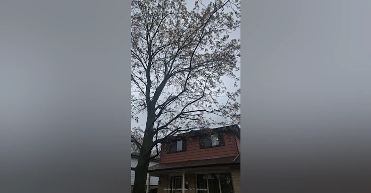 Lower Level-106 Springdale Crescent, Oshawa, ON, L1H 7C1 - 30
