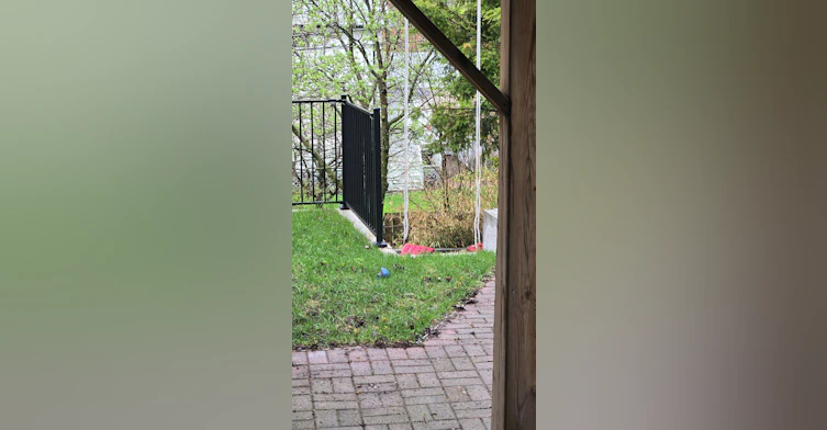 Lower Level-106 Springdale Crescent, Oshawa, ON, L1H 7C1 - 14