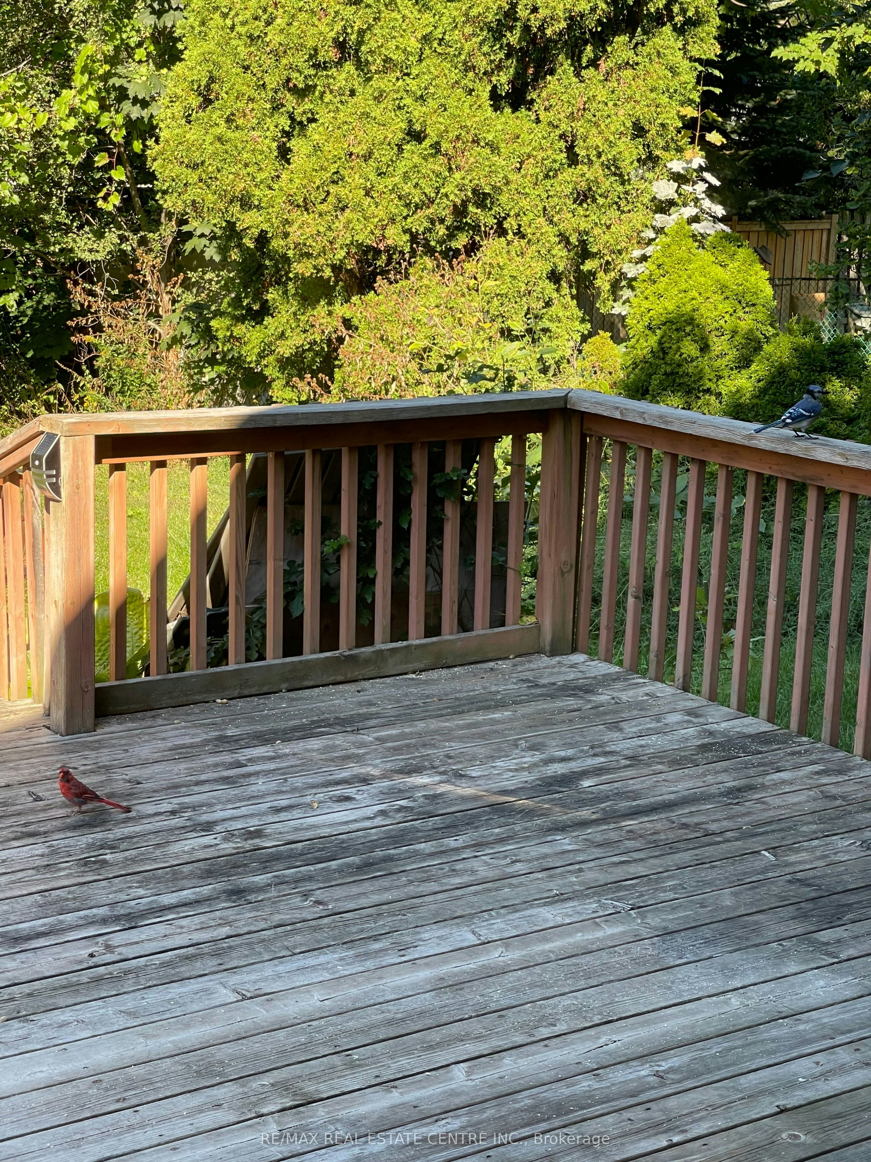 Main Floor-34 Singleton Road, Toronto, ON, M1R 1H9 - 15