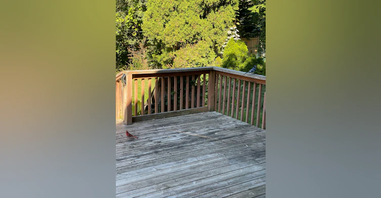 Main Floor-34 Singleton Road, Toronto, ON, M1R 1H9 - 15