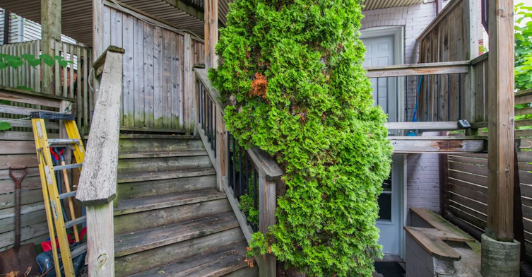 Main-233 Kingston Road, Toronto, ON, M4L 1T5 - 13