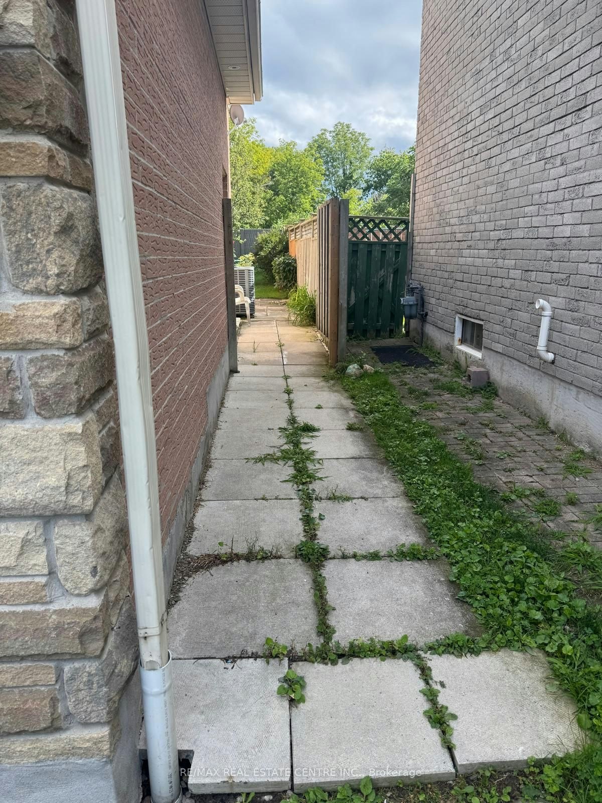 Basement-546 Laurier Crescent, Pickering, ON, L1V 4P9 - 2