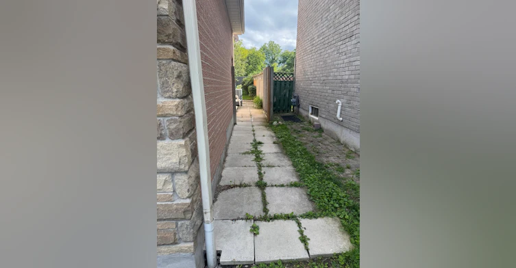 Basement-546 Laurier Crescent, Pickering, ON, L1V 4P9 - 2