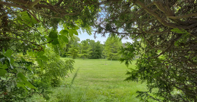 Main-397 Brentwood Avenue, Oshawa, ON, L1G 2S7 - 37