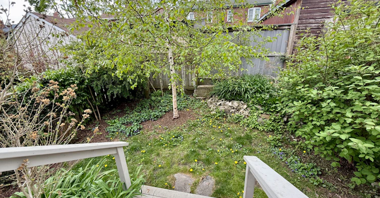 Main Floor-60 Glen Manor Drive, Toronto, ON, M4E 2X2 - 17