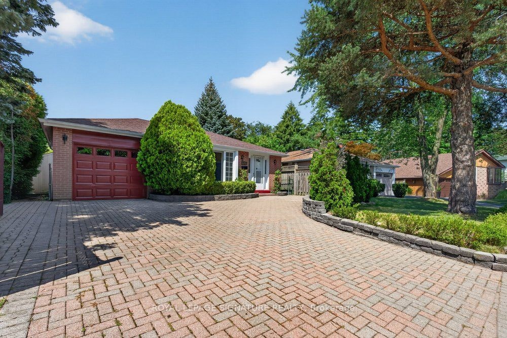 16 Earswick Drive, Toronto, ON, M1E 1C6