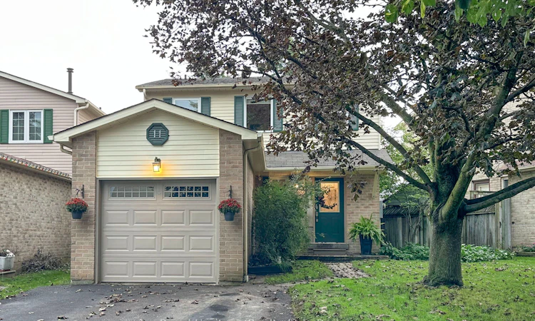 11 Harman Drive