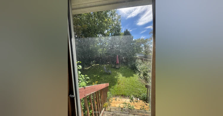 189 Tower Drive, Toronto, ON, M1R 3P6 - 24