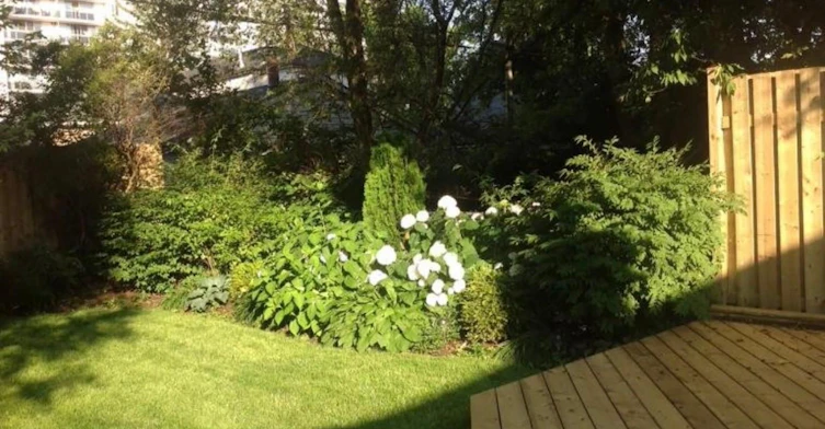 Main-3 Bexhill Avenue, Toronto, ON, M1L 3B3 - 15
