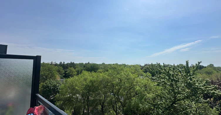 724-2799 Kingston Road, Toronto, ON, M1M 1N1 - 13