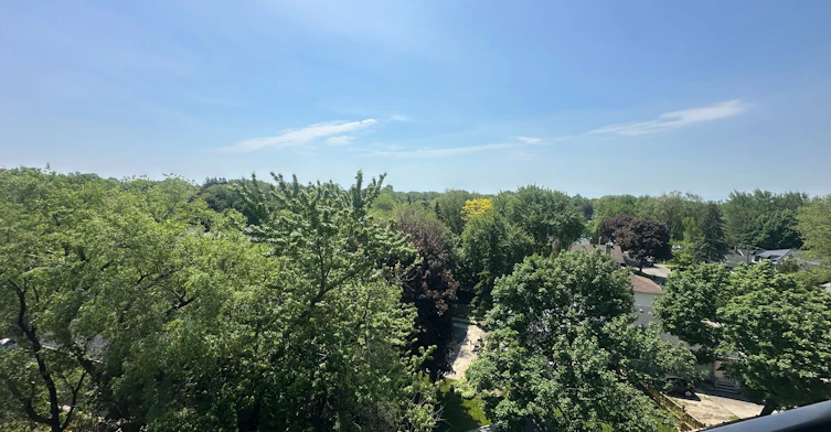 724-2799 Kingston Road, Toronto, ON, M1M 1N1 - 14