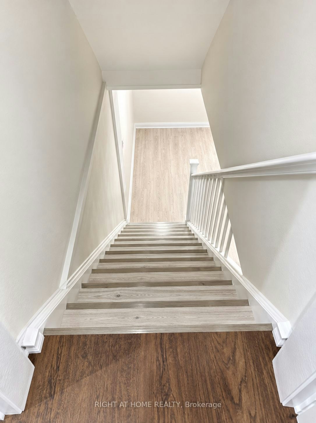 LOWER-59 Marblemount Crescent, Toronto, ON, M1T 2H5 - 10