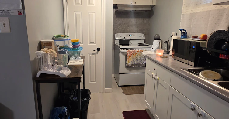 Basement-38 Glynn Road, Ajax, ON, L1S 2C3 - 3