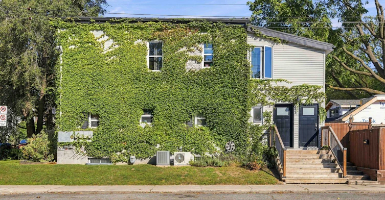 Lower-103 Ashdale Avenue, Toronto, ON, M4L 2Y8 - 22