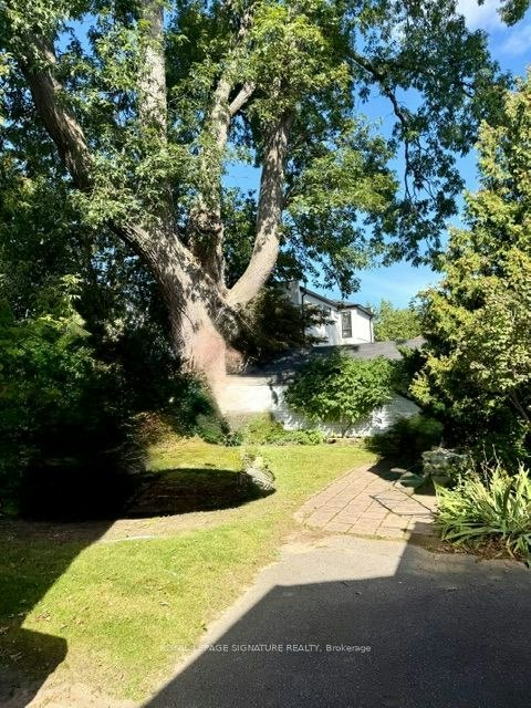 Lower-152 Barker Avenue, Toronto, ON, M4C 2P1 - 11