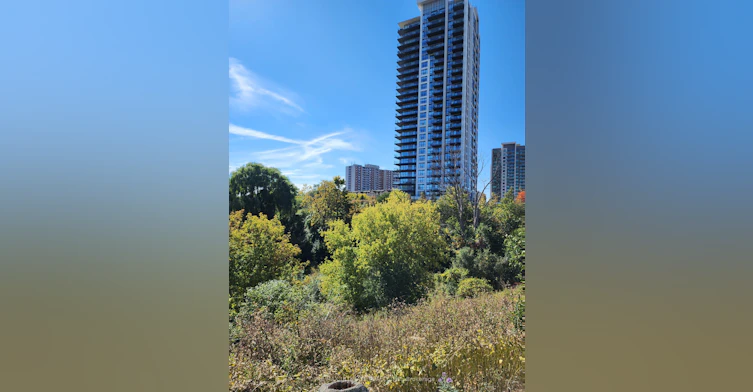 1703-1255 Bayly Street, Pickering, ON, L1W 1L7
