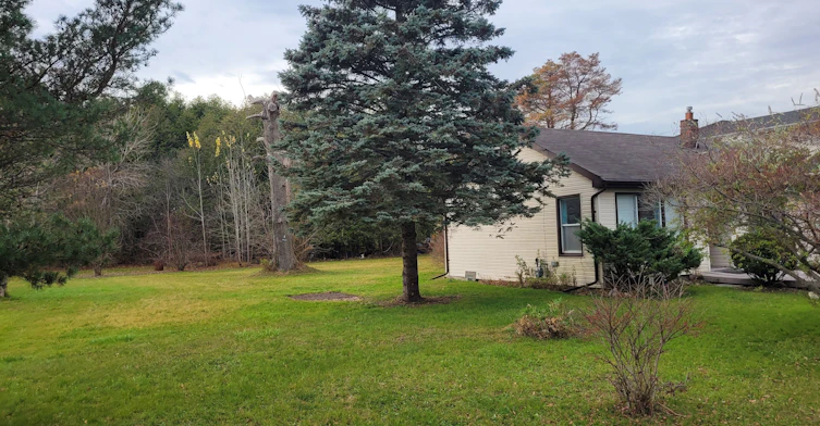 2658 Solina Road, Clarington, ON, L1C 3K7 - 3