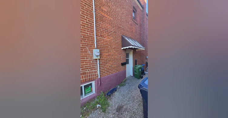 Lower Level-15 North Bonnington Avenue, Toronto, ON, M1K 1X3 - 2
