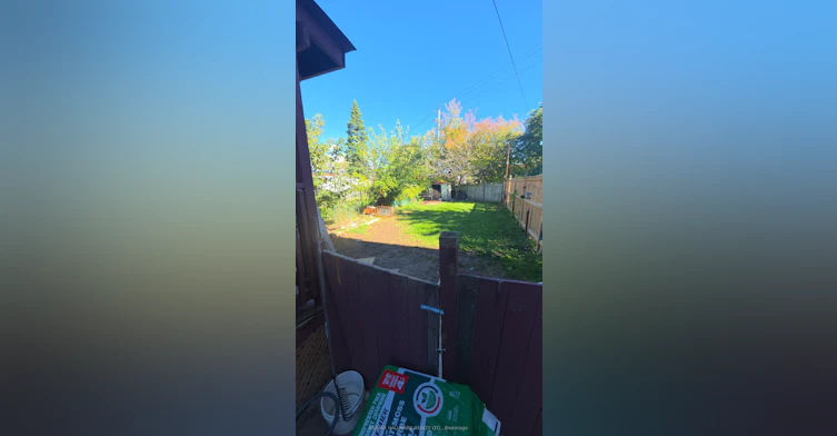 Lower Level-15 North Bonnington Avenue, Toronto, ON, M1K 1X3 - 31