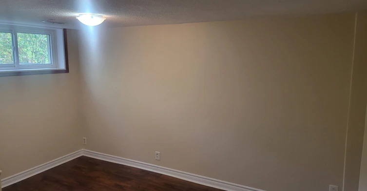 Lower Level-168 Meadowvale Road, Toronto, ON, M1C 3E3 - 8