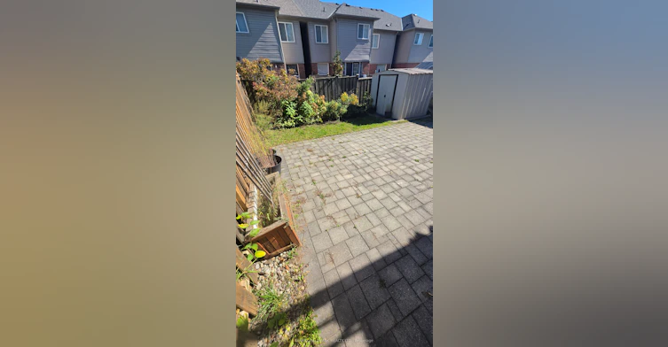 Lower Level-325 Porte Road, Ajax, ON, L1S 0A4 - 5