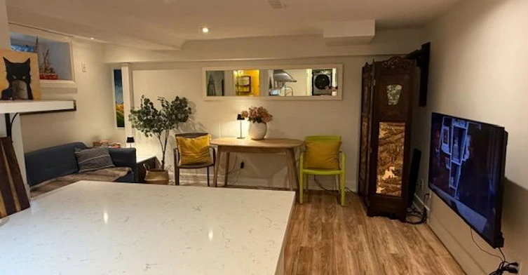 basement-18 Pape Avenue, Toronto, ON, M4M 2V6 - 4