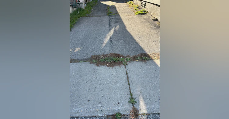 292 Celina Street, Oshawa, ON, L1H 4P1 - 39