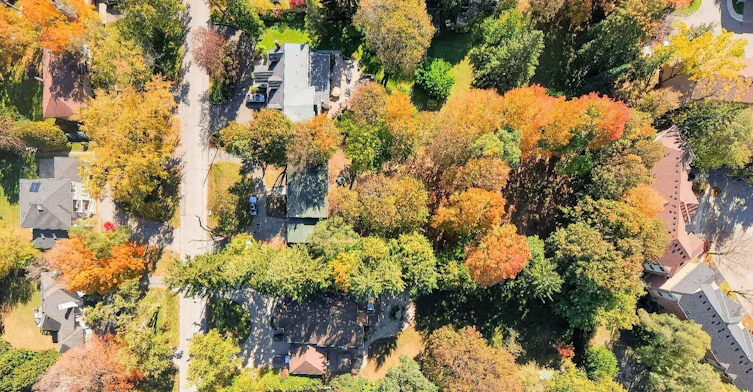 Basement-20 West Hill Drive, Toronto, ON, M1E 3T5 - 22