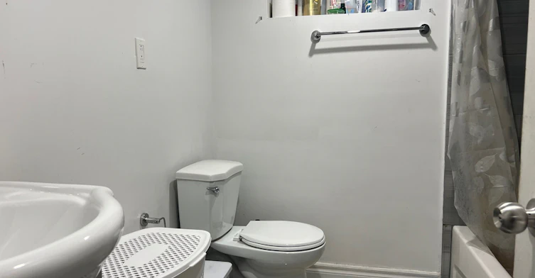 Bsmt-106 Gradwell Drive, Toronto, ON, M1M 2N2 - 13