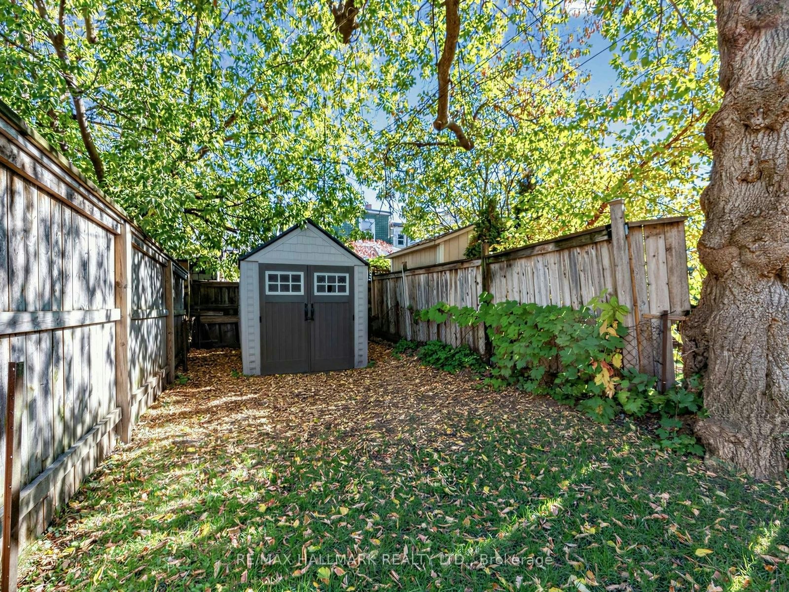 67 Amroth Avenue, Toronto, ON, M4C 4H3 - 23