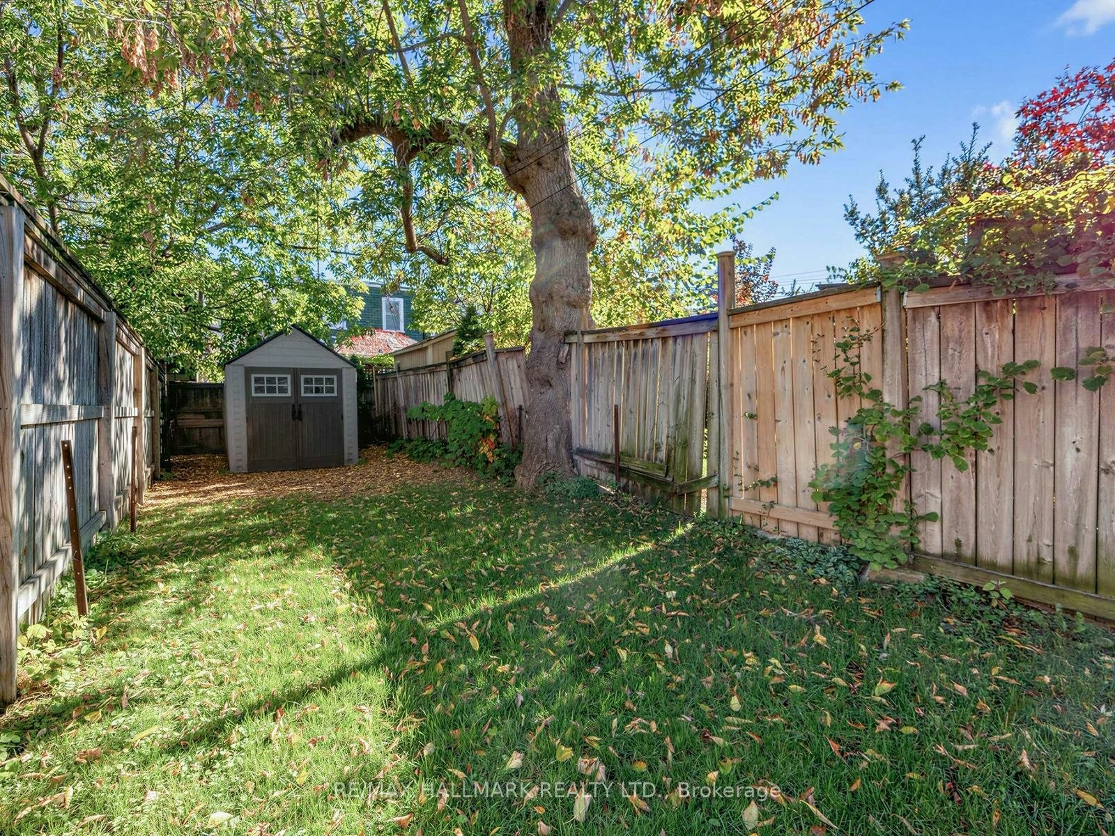 67 Amroth Avenue, Toronto, ON, M4C 4H3 - 22