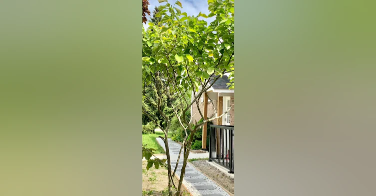 Main-856 Finley Avenue, Ajax, ON, L1S 3R9 - 2