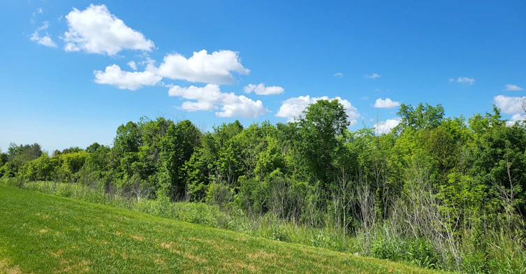 Bsmt-1015 Kingpeak Crescent, Pickering, ON, L1V 2P8 - 11